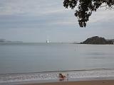 R Kauri Coast 001